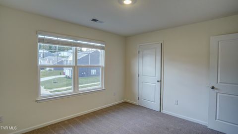 Tiny photo for 172 Tanasqui Drive, Johnson City, TN 37604 (MLS # 9986392)