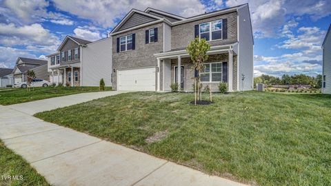 Tiny photo for 172 Tanasqui Drive, Johnson City, TN 37604 (MLS # 9986392)