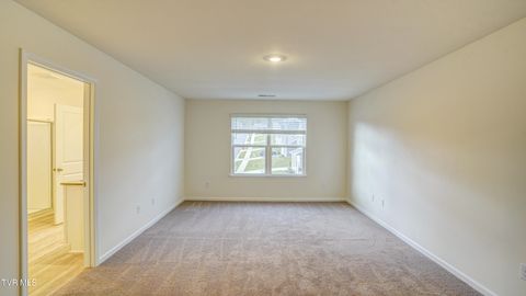 Tiny photo for 172 Tanasqui Drive, Johnson City, TN 37604 (MLS # 9986392)