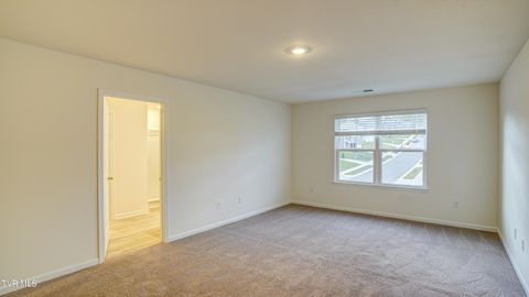 Tiny photo for 172 Tanasqui Drive, Johnson City, TN 37604 (MLS # 9986392)
