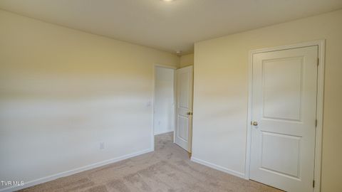 Tiny photo for 172 Tanasqui Drive, Johnson City, TN 37604 (MLS # 9986392)