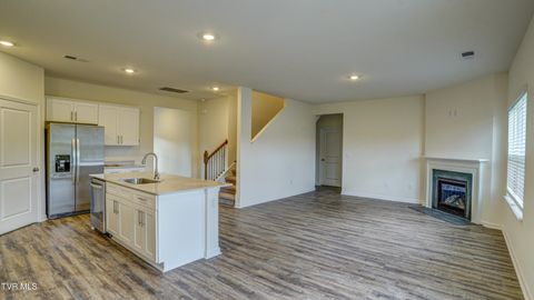 Tiny photo for 172 Tanasqui Drive, Johnson City, TN 37604 (MLS # 9986392)
