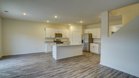 Tiny photo for 172 Tanasqui Drive, Johnson City, TN 37604 (MLS # 9986392)