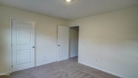 Tiny photo for 172 Tanasqui Drive, Johnson City, TN 37604 (MLS # 9986392)