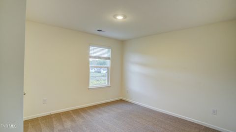 Tiny photo for 172 Tanasqui Drive, Johnson City, TN 37604 (MLS # 9986392)