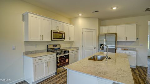 Tiny photo for 172 Tanasqui Drive, Johnson City, TN 37604 (MLS # 9986392)