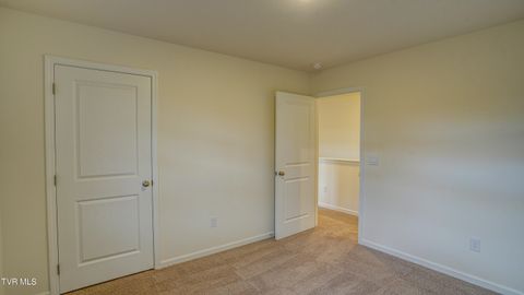 Tiny photo for 172 Tanasqui Drive, Johnson City, TN 37604 (MLS # 9986392)