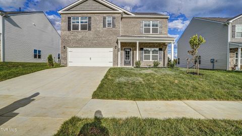 Tiny photo for 172 Tanasqui Drive, Johnson City, TN 37604 (MLS # 9986392)