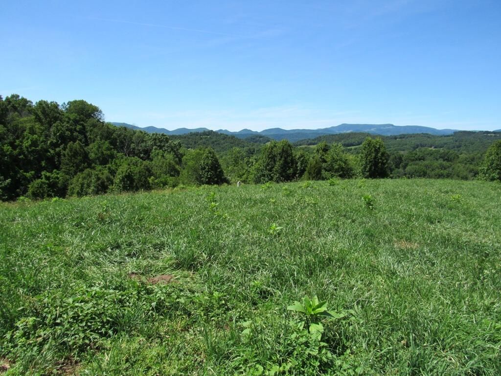 Photo of 5 Logan Creek Road, Meadowview, VA 24361 (MLS # 9990971)