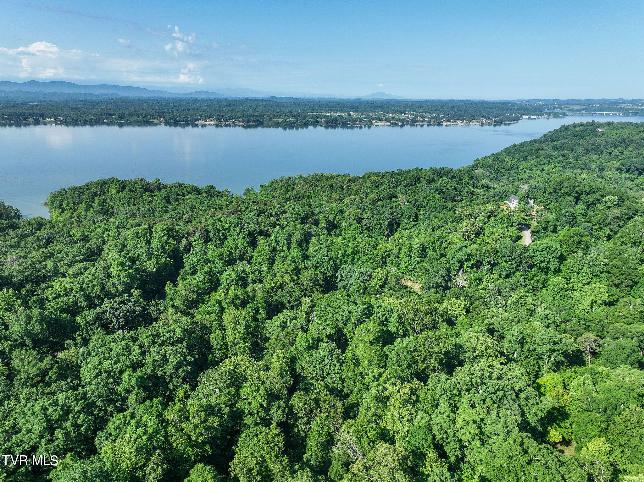 Hollow Court, White Pine, Tennessee image 3