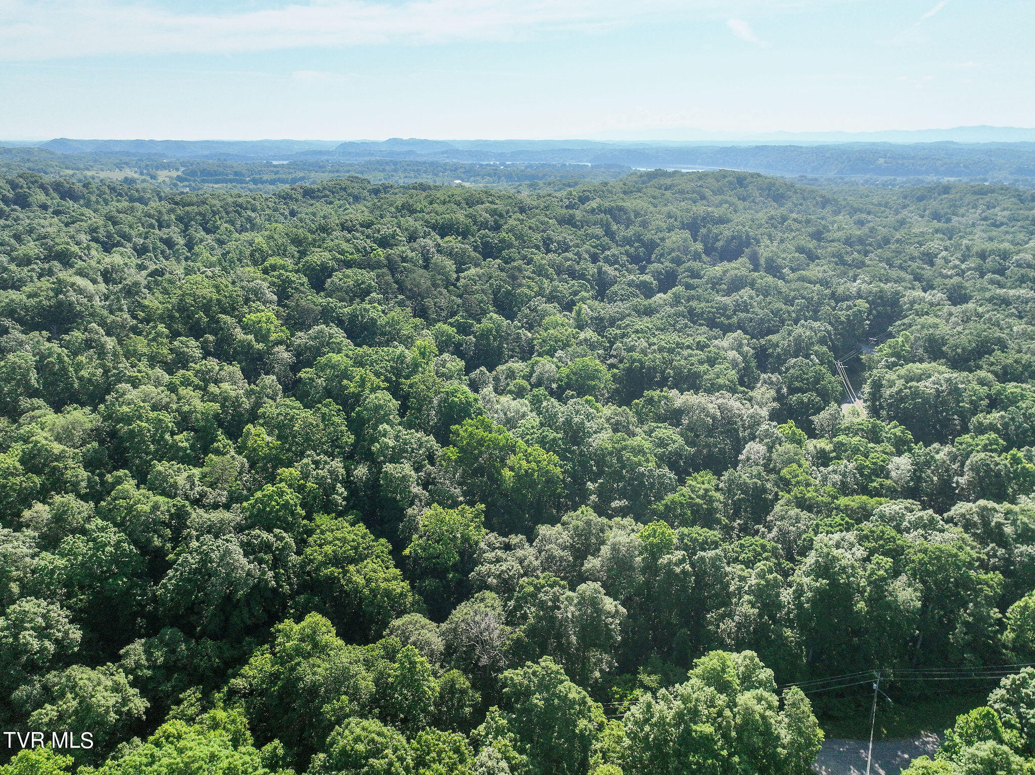 Hollow Court, White Pine, Tennessee image 7