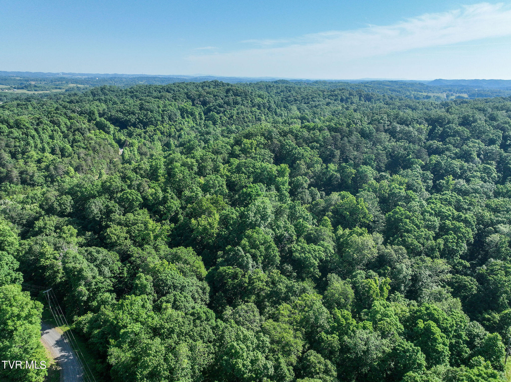 Hollow Court, White Pine, Tennessee image 8