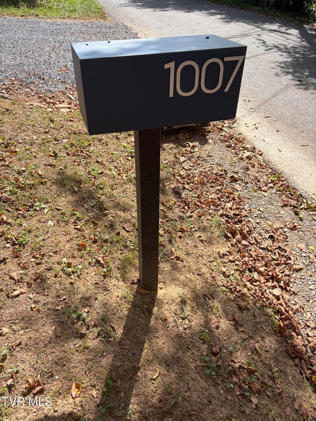 Photo of 1007 Embreville Road, Johnson City, TN 37604 (MLS # 10000961)