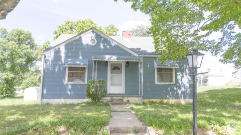 Photo of 113 Ell Street, Greeneville, TN 37743 (MLS # 9994847)