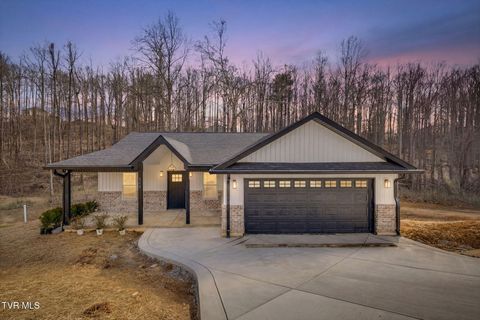 Photo of 173 Hall Road, Jonesborough, TN 37659 (MLS # 9993380)