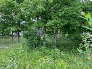 Wild Rose Lane lot 2