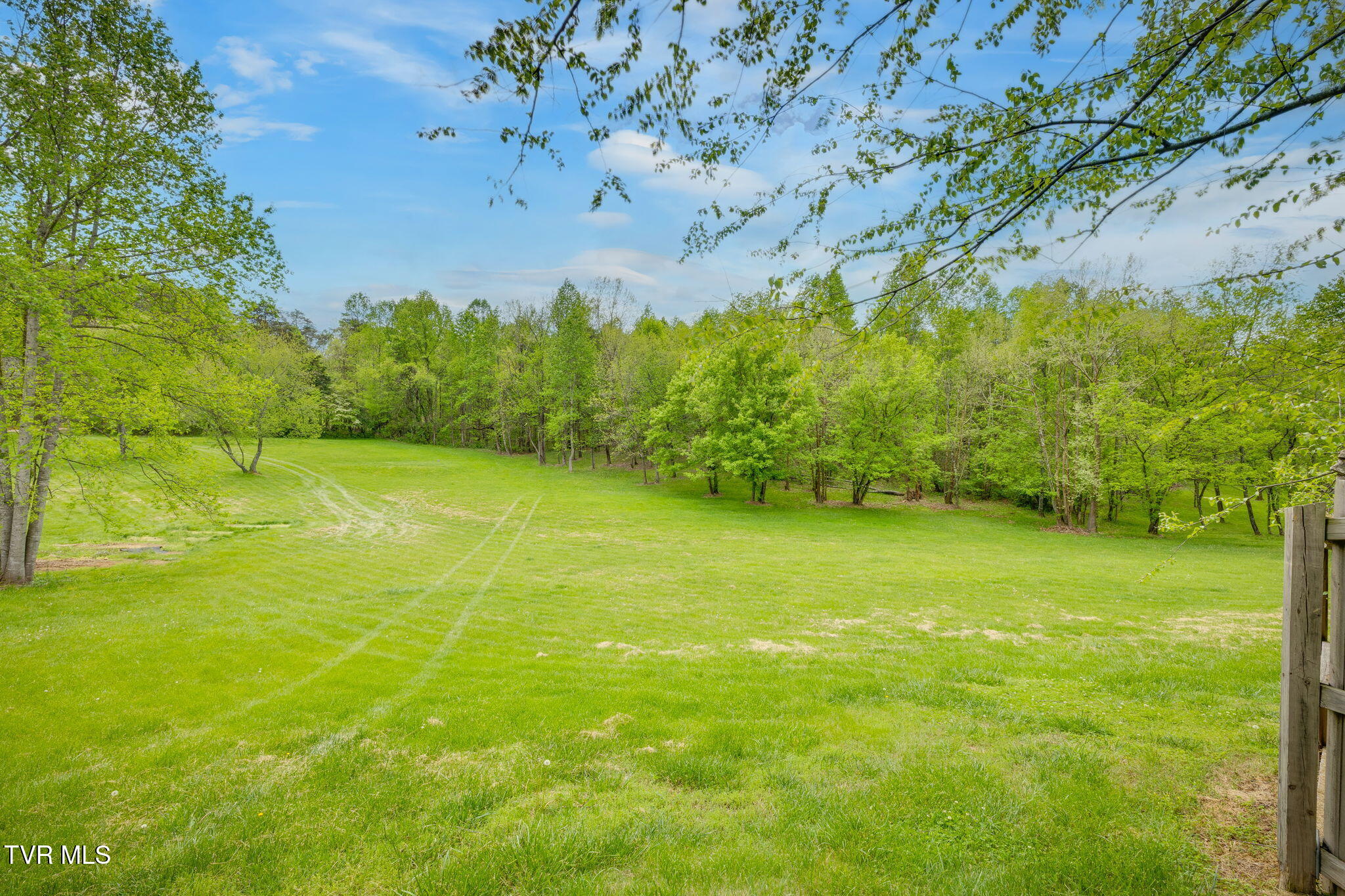 2164 Dave Buck Road, Johnson City, Tennessee image 50