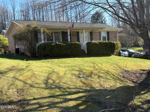 Homes For Sale - 19324 Woodland Hills Road<br/> Abingdon, VA 24210