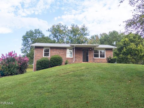 Tiny photo for 299 Stockyard Road, Telford, TN 37690 (MLS # 9986327)