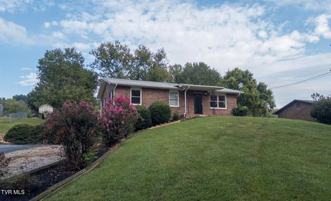 Tiny photo for 299 Stockyard Road, Telford, TN 37690 (MLS # 9986327)