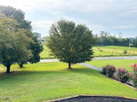 Tiny photo for 299 Stockyard Road, Telford, TN 37690 (MLS # 9986327)