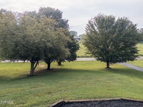 Tiny photo for 299 Stockyard Road, Telford, TN 37690 (MLS # 9986327)