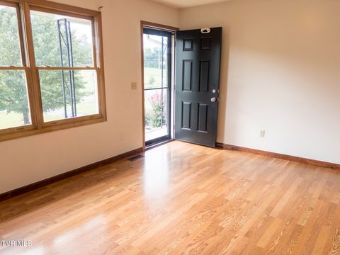 Tiny photo for 299 Stockyard Road, Telford, TN 37690 (MLS # 9986327)