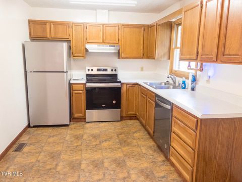 Tiny photo for 299 Stockyard Road, Telford, TN 37690 (MLS # 9986327)