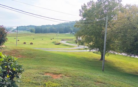Tiny photo for 299 Stockyard Road, Telford, TN 37690 (MLS # 9986327)