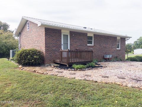 Tiny photo for 299 Stockyard Road, Telford, TN 37690 (MLS # 9986327)