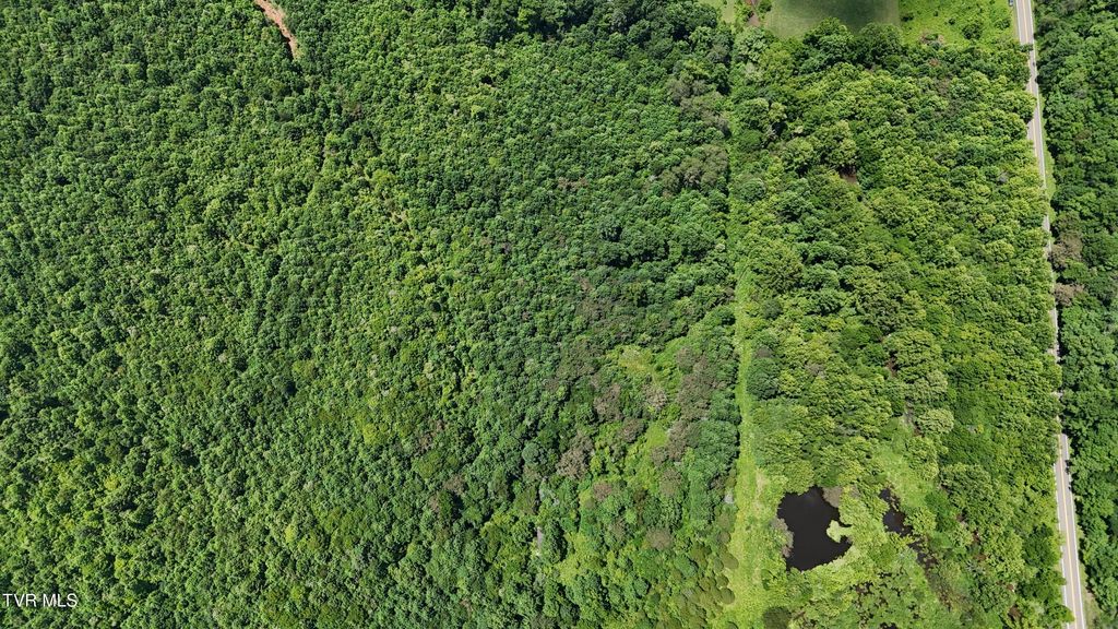 Photo of 1432 Beech Creek Road, Rogersville, TN 37857 (MLS # 9996931)