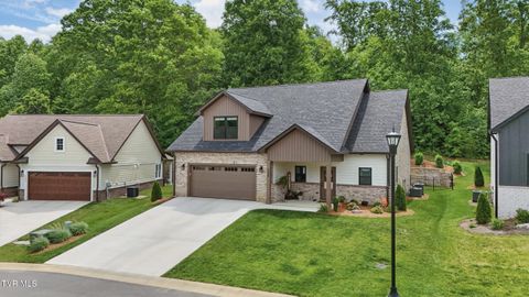 Photo of 235 Winston Place, Johnson City, TN 37615 (MLS # 9992485)