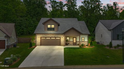 235 Winston Place Johnson City TN 37615