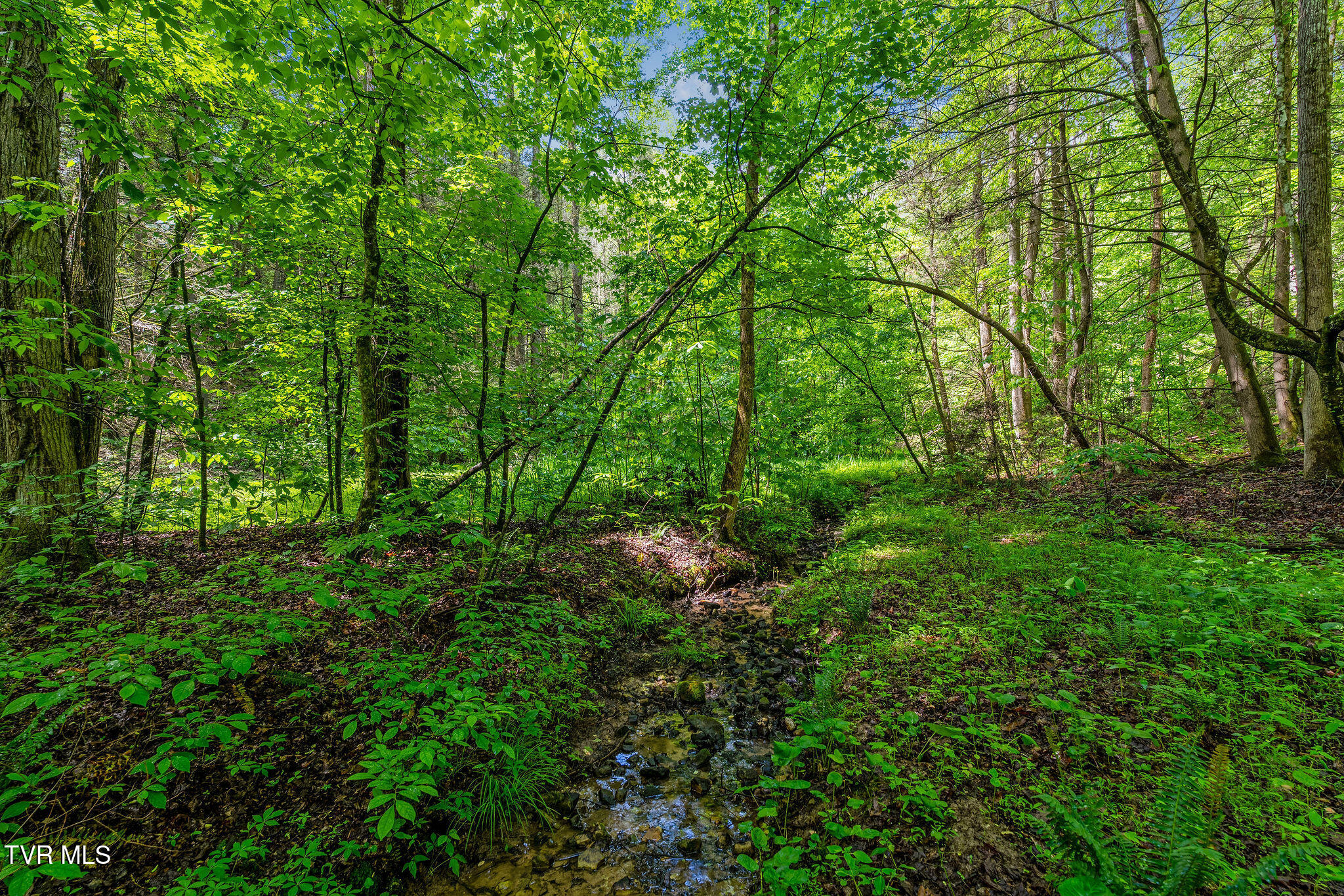 2039 War Valley Road, Rogersville, Tennessee image 18