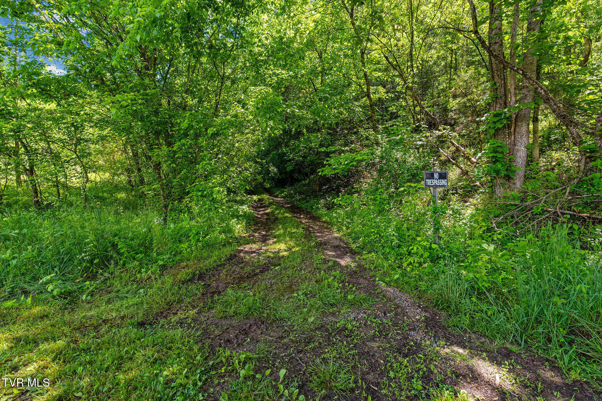 2039 War Valley Road, Rogersville, Tennessee image 41