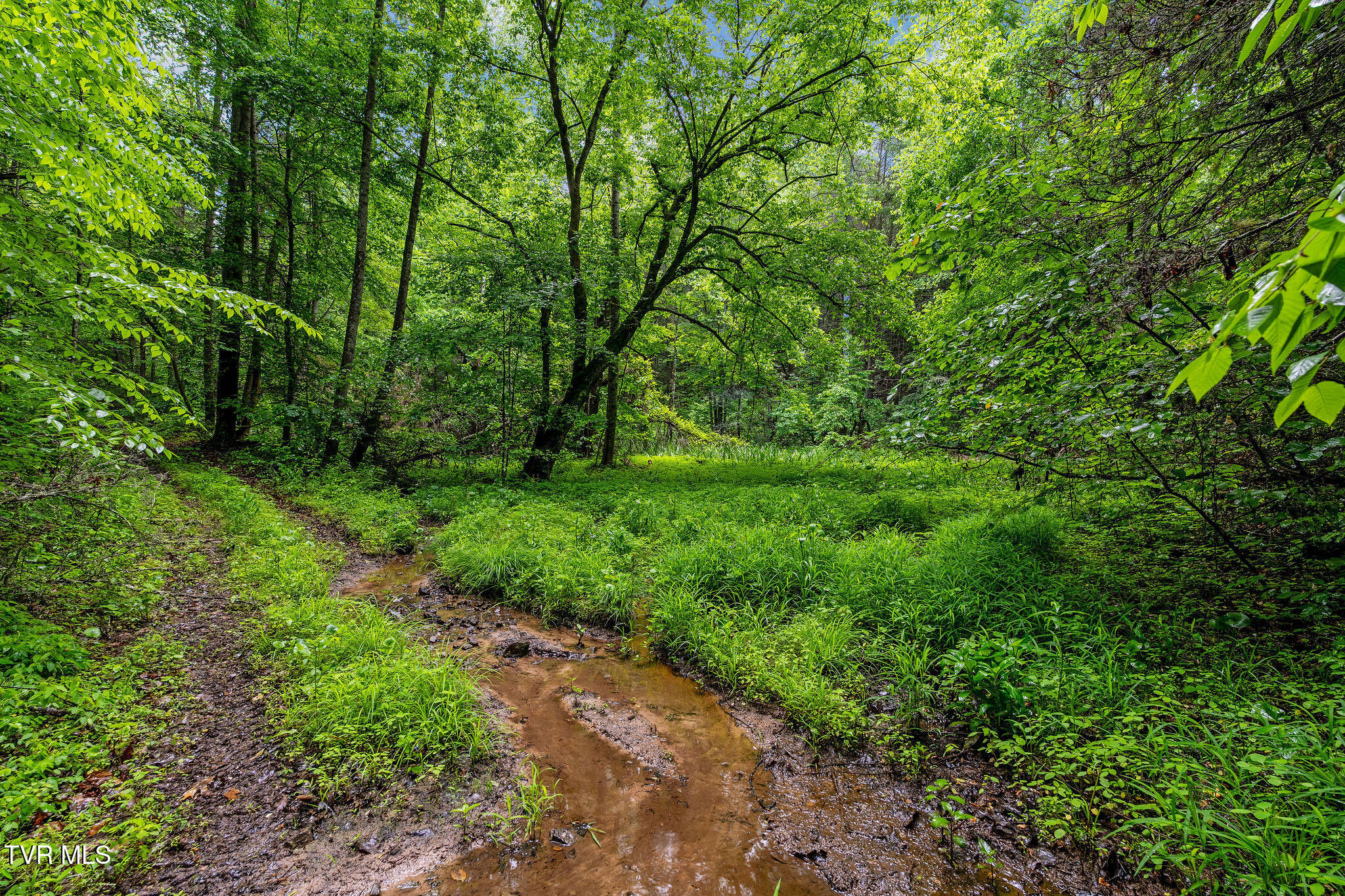 2039 War Valley Road, Rogersville, Tennessee image 14