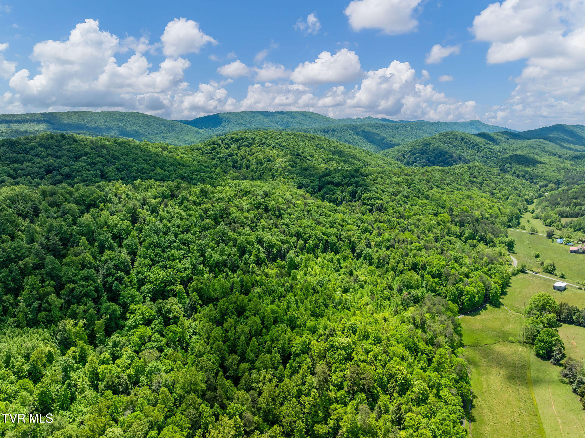 2039 War Valley Road, Rogersville, Tennessee image 8