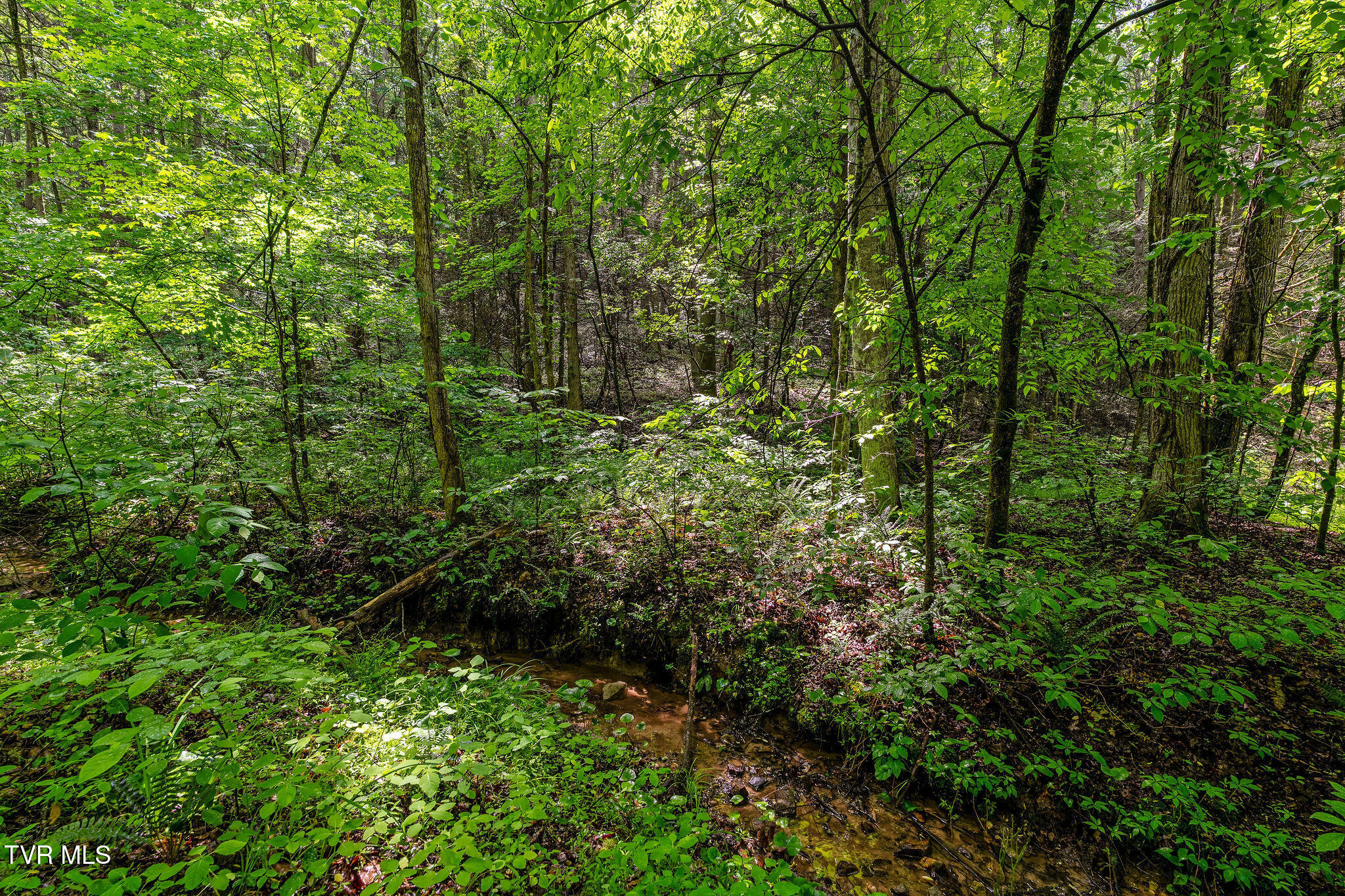 2039 War Valley Road, Rogersville, Tennessee image 19