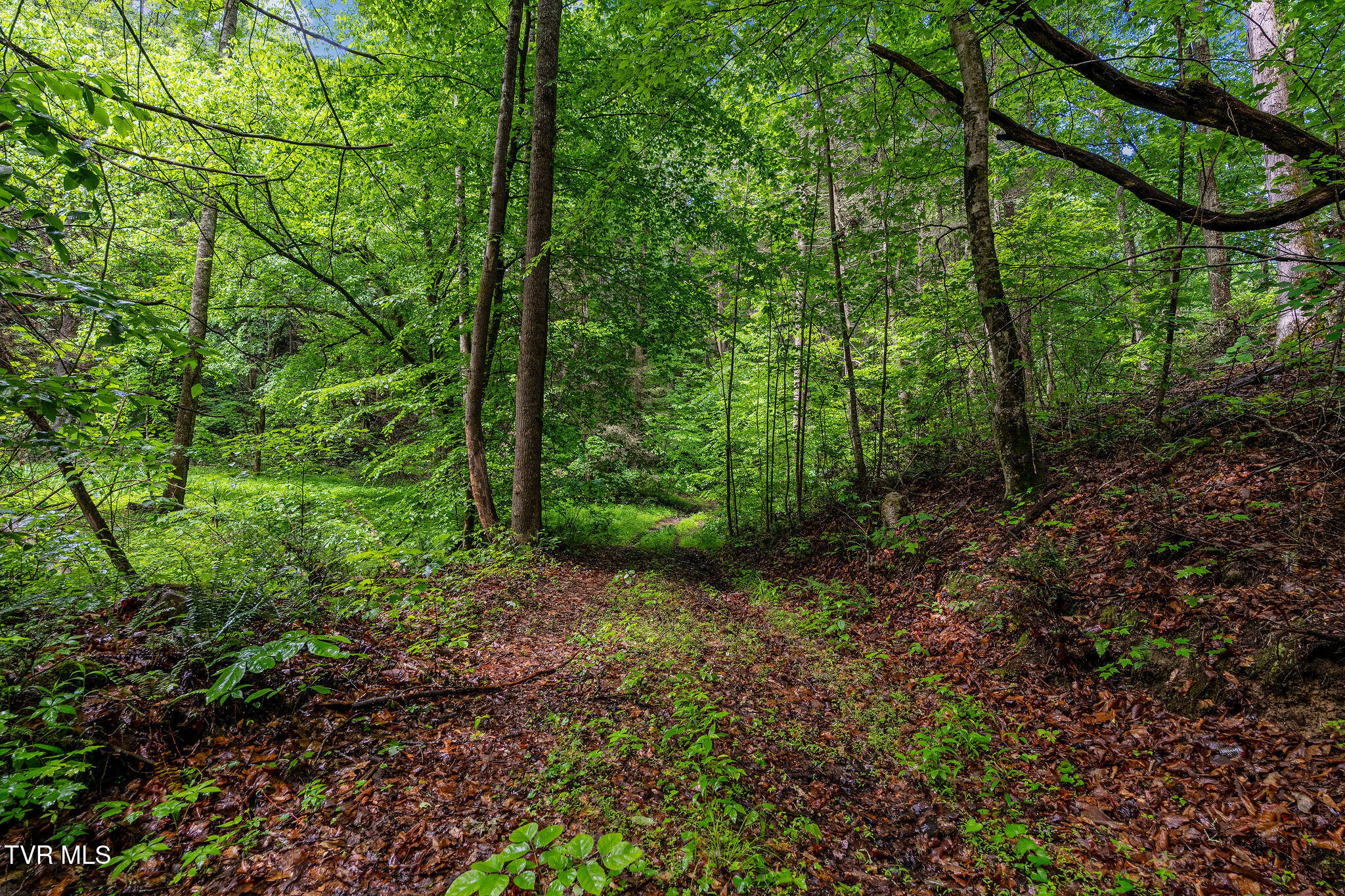 2039 War Valley Road, Rogersville, Tennessee image 17