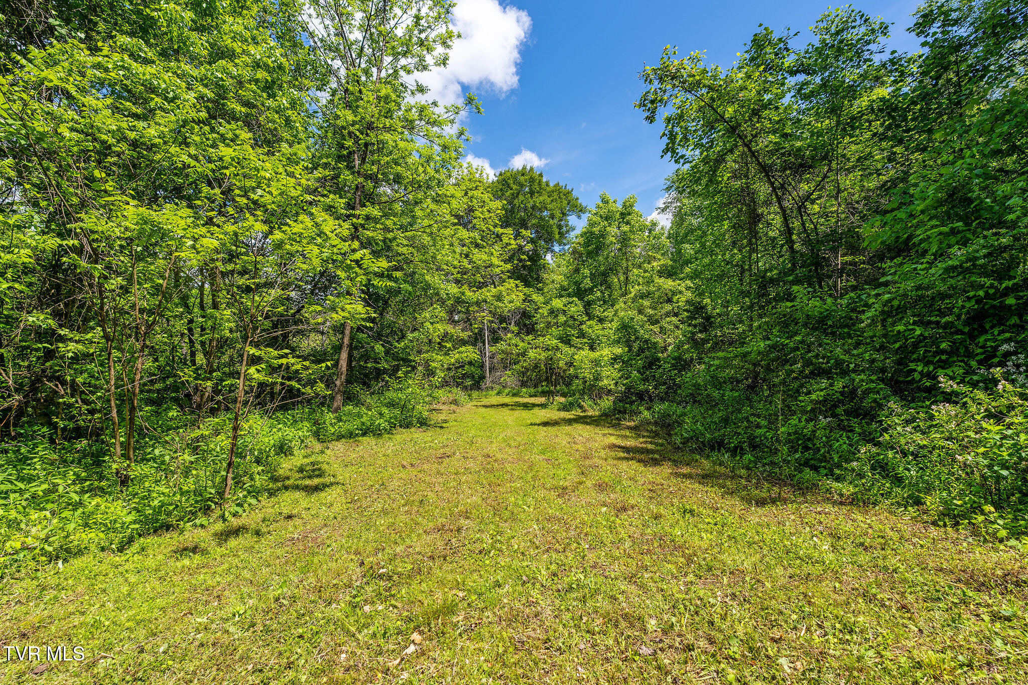 2039 War Valley Road, Rogersville, Tennessee image 36