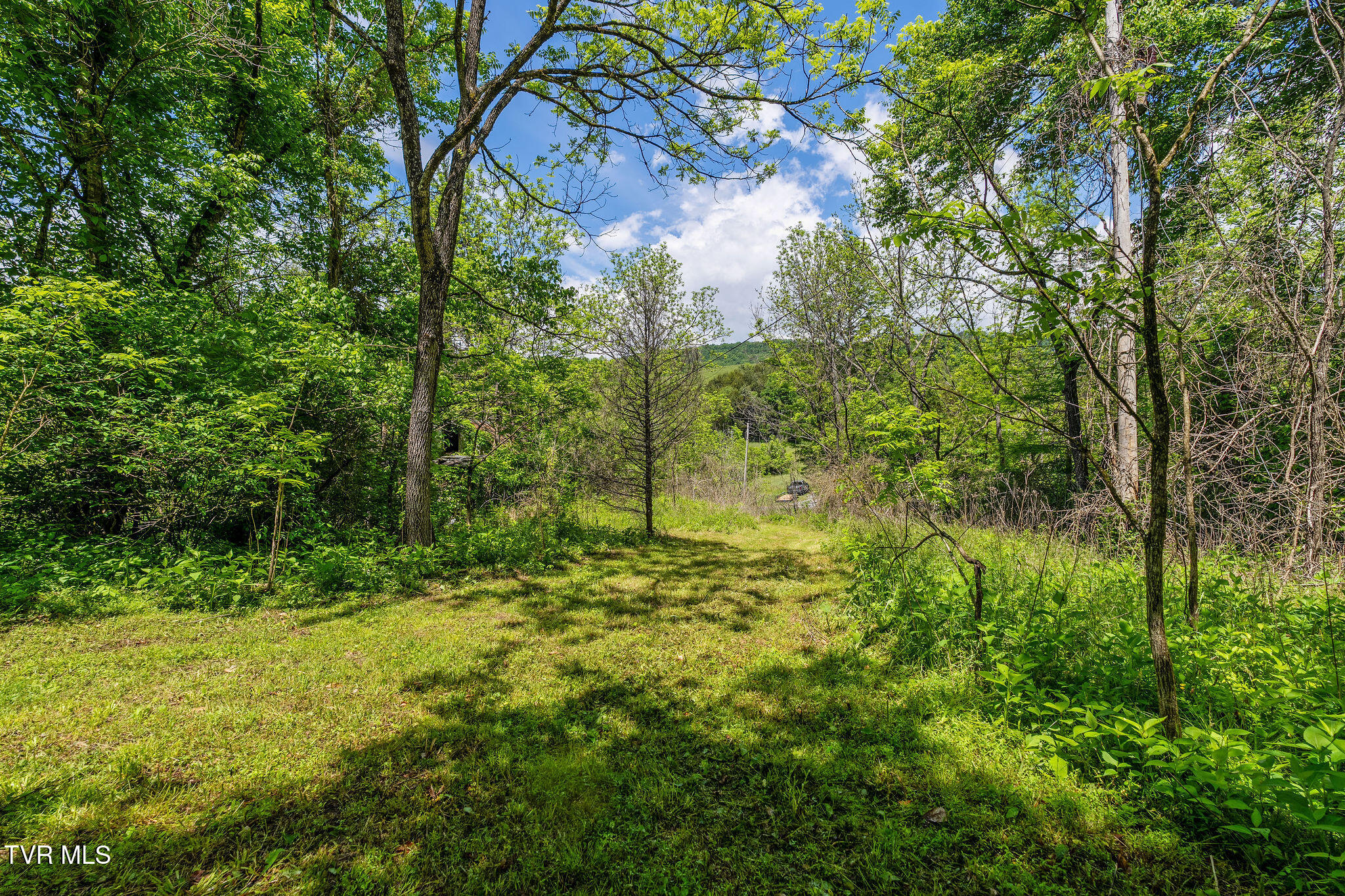 2039 War Valley Road, Rogersville, Tennessee image 40