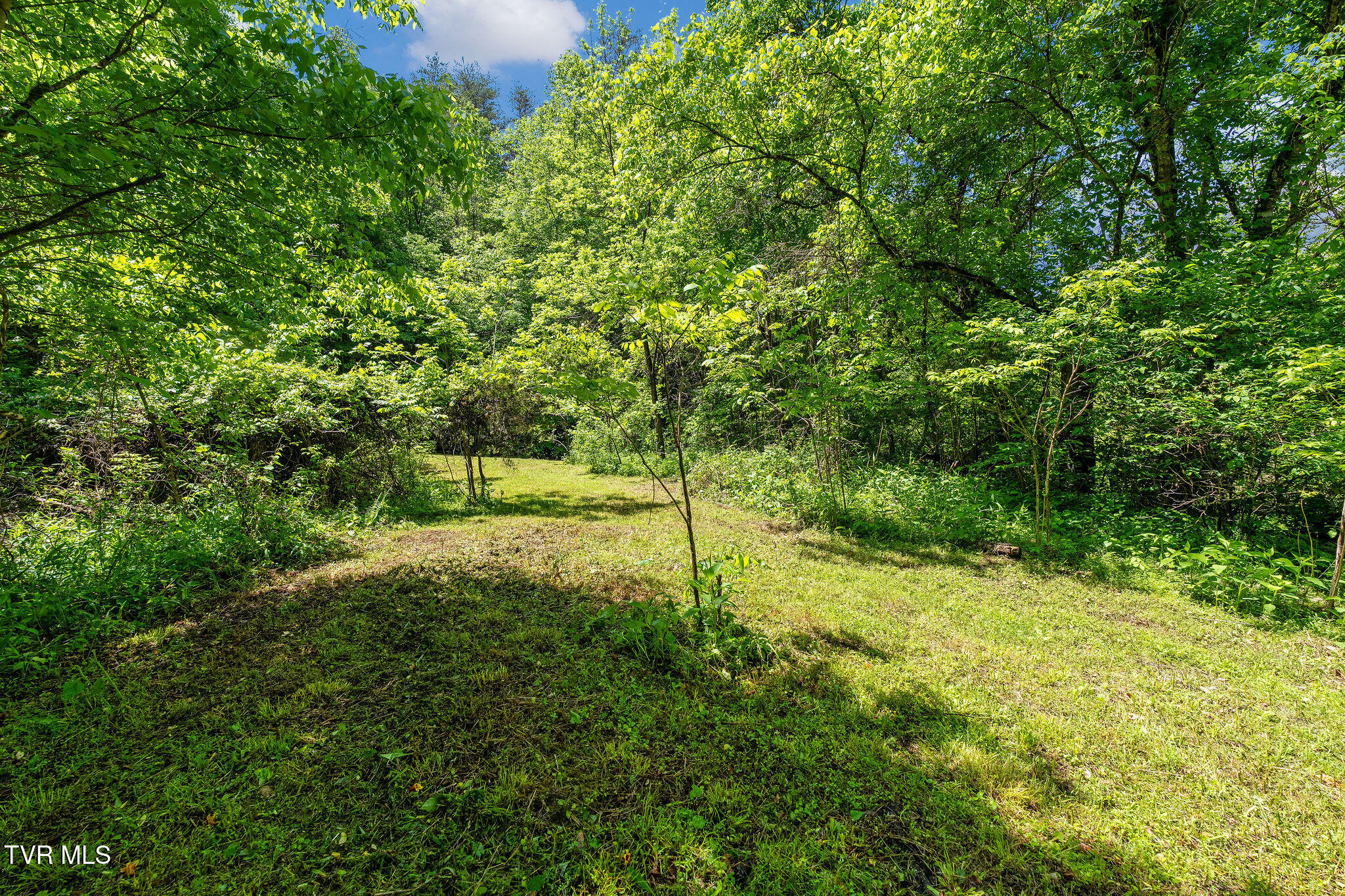2039 War Valley Road, Rogersville, Tennessee image 38