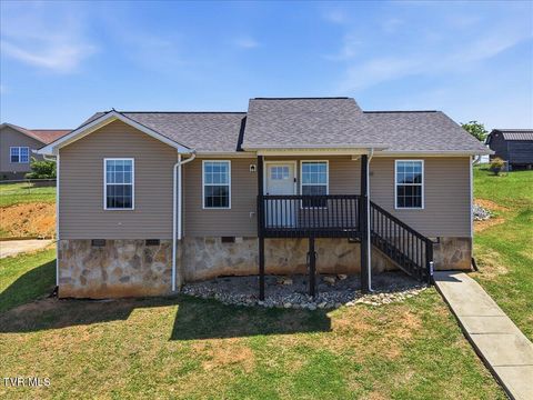 Photo of 1316 Lauren Drive, Jefferson City, TN 37760 (MLS # 9994939)