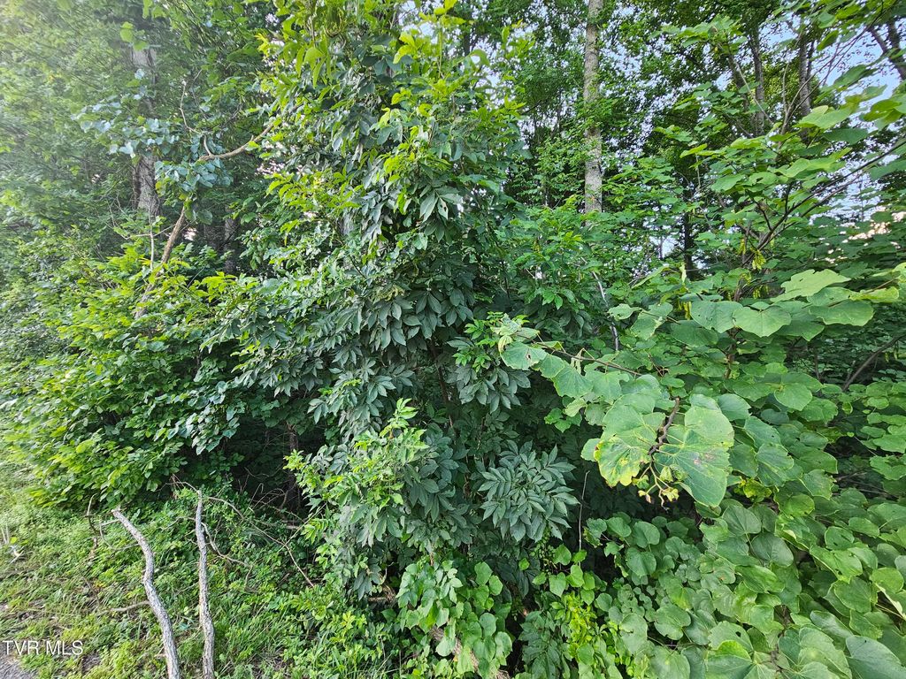 Photo of 000 Denton Valley Road, Bristol, TN 37620 (MLS # 9983698)