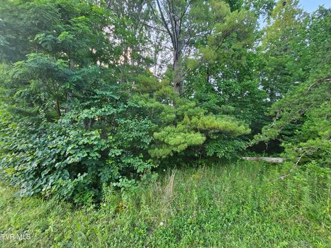 Vacant Land For Sale - 000 Denton Valley Road<br/> Bristol, TN 37620