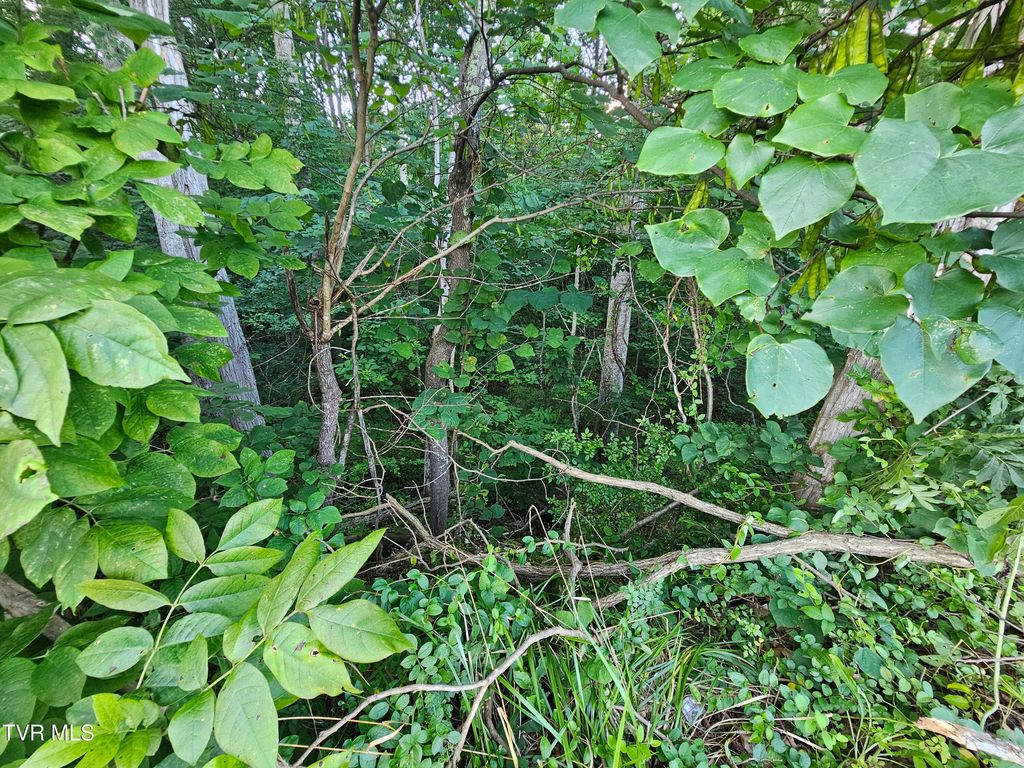 Photo of 000 Denton Valley Road, Bristol, TN 37620 (MLS # 9983698)