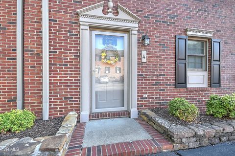 Photo of 1201 8 Th Avenue #4, Johnson City, TN 37601 (MLS # 9990163)