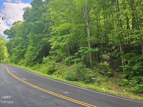 Vacant Land For Sale - TBD Indian Creek Road<br/> Wise County, Wise, VA 24293