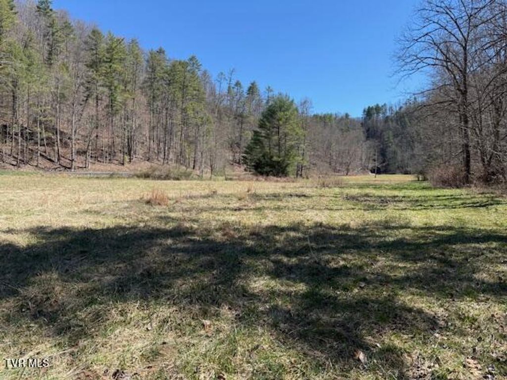 Photo of Tbd Willis Cove Road Road, Erwin, TN 37650 (MLS # 9992112)