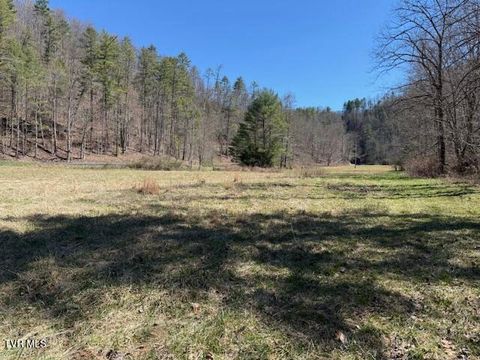 Vacant Land For Sale - TBD Willis Cove Road Road<br/> Unicoi County, Erwin, TN 37650